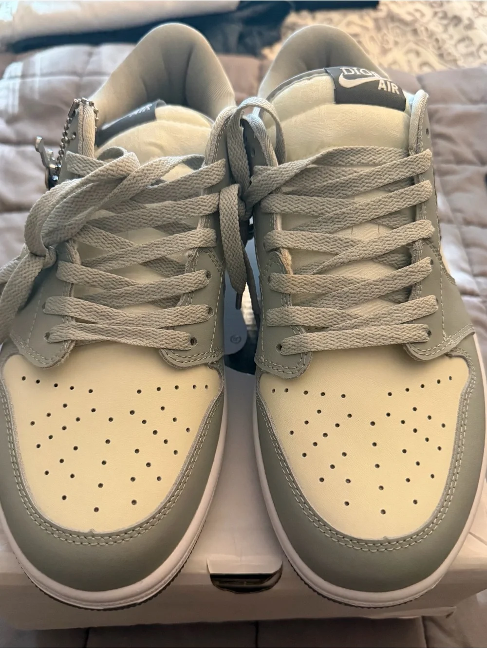 Dior Jordan Low Top Sneakers in Light Gray and White *REPS*
